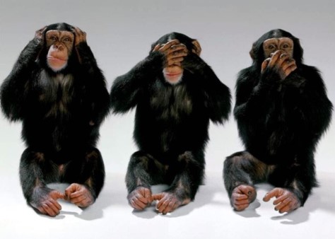 3 monkeys cover their individual eyes, nose, mouth separately.